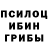 Галлюциногенные грибы Psilocybine cubensis Joel Reed